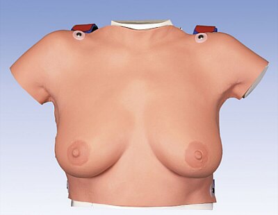 Modelo para la palpaci�n de mama para colgar  L51