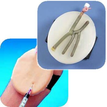 Almohadilla para pr�cticas de punci�n venosa LT00140