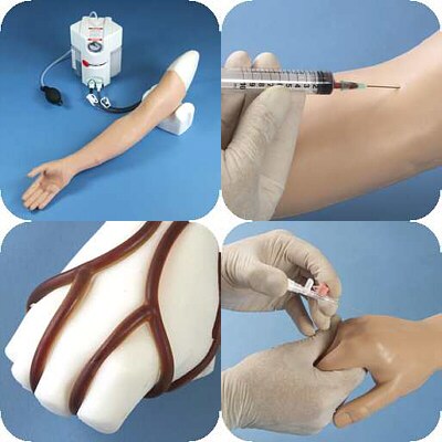 Brazo de entrenamiento p/punciones y canalizaciones venosas LT00290