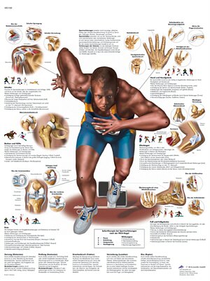 L�mina: Lesiones deportivas VR3188