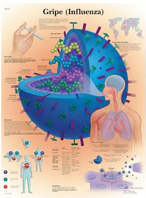 Educaci�n para la Salud