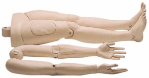 Brazos y piernas para torso Resusci Anne W19504