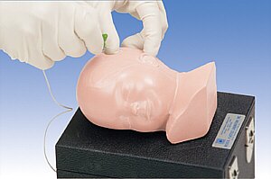 Modelo de cabeza neonatal para canalizaci�n venosa W19563