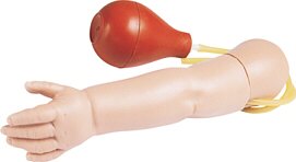 Brazo de entrenamiento para punci�n arterial en beb�s W19566