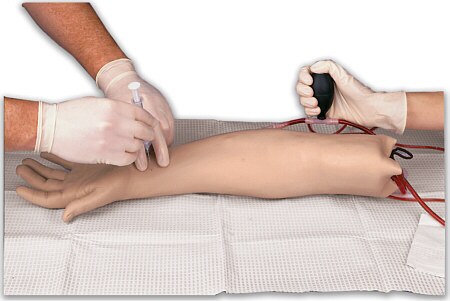 Modelo de brazo p/practicas de punci�n arterial W44022