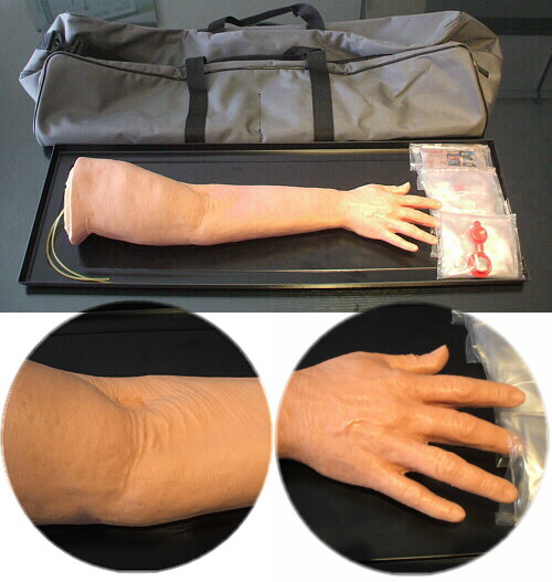 Brazo geri�trico para pr�cticas intrevenosas W44684