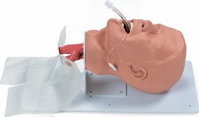 Entrenador de intubaci�n endotraqueal de adultos W44687