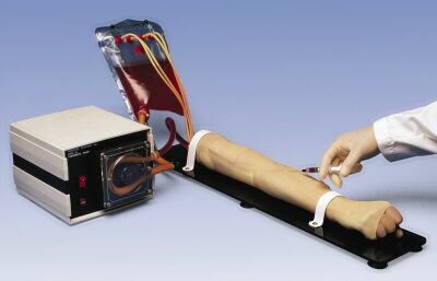 Pr�cticas de punci�n arterial y brazo para inyecciones  W45093