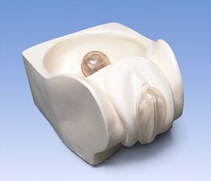Modelo de preservativo femenino  W45154