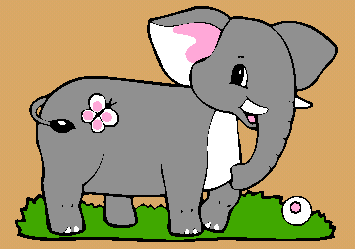 Vista en detalle ELEFANTE