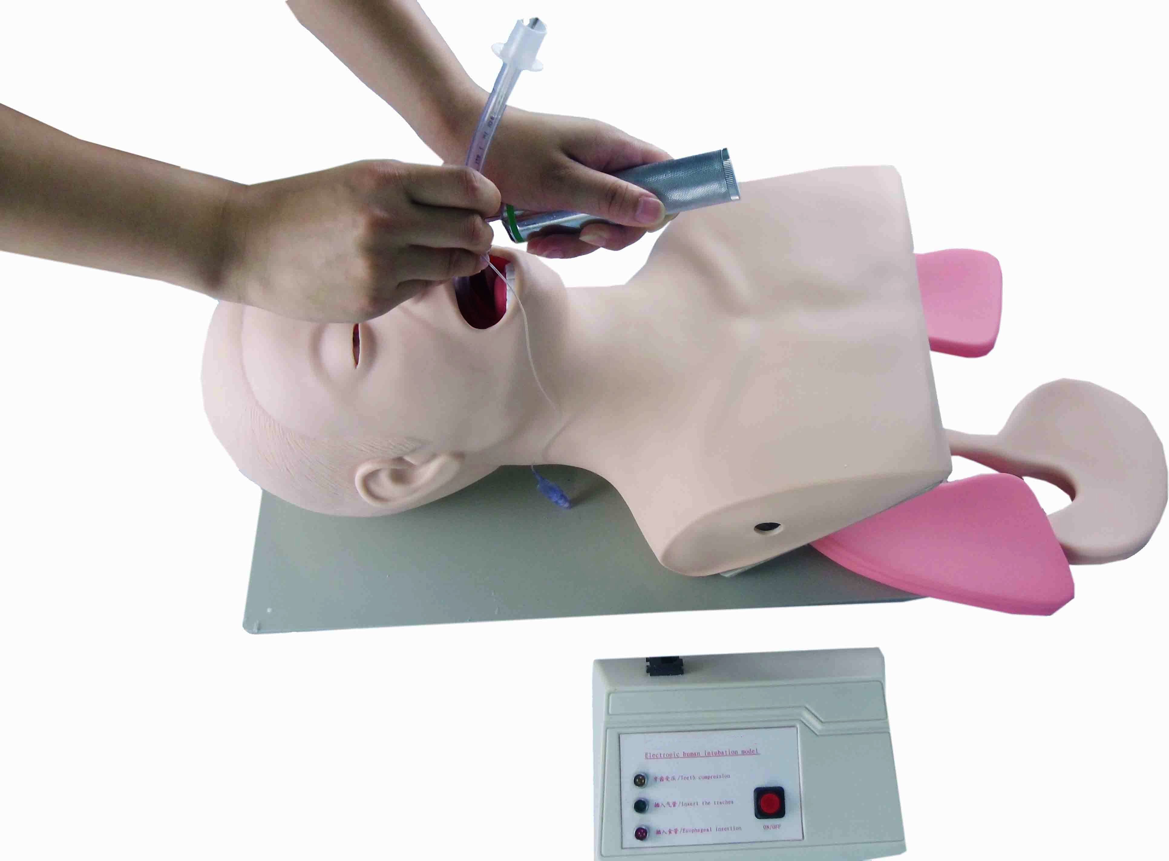 Simulador para prácticas de intubación endotraqueal c/indicadores electrónicos DM-FA5003