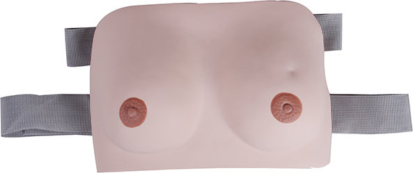 Simulador para prácticas de palpación y autoexámen de mamas DM-GP6622