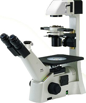 Microscopio Biológico Invertido Trinocular AE31