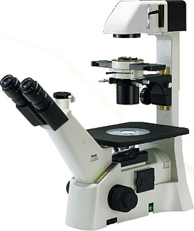 Microscopio Biol�gico Invertido Trinocular AE31