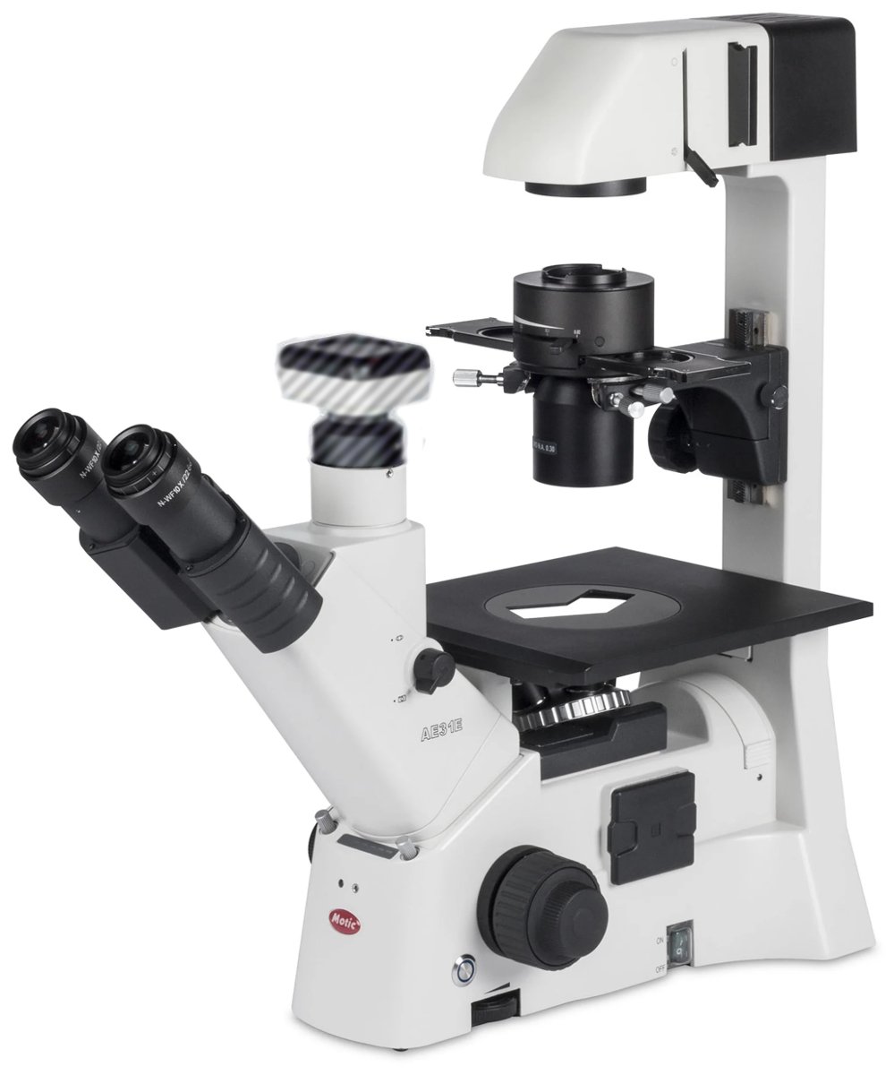 AE31E: Microscopio invertido, accesorios de uso más frecuente y repuestos