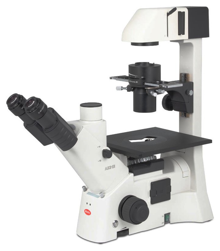 Microscopio Biológico Invertido Trinocular con iluminación LED AE31E Trino LED