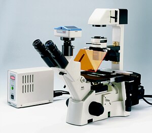 AE31: Microscopio invertido, accesorios de uso más frecuente y repuestos