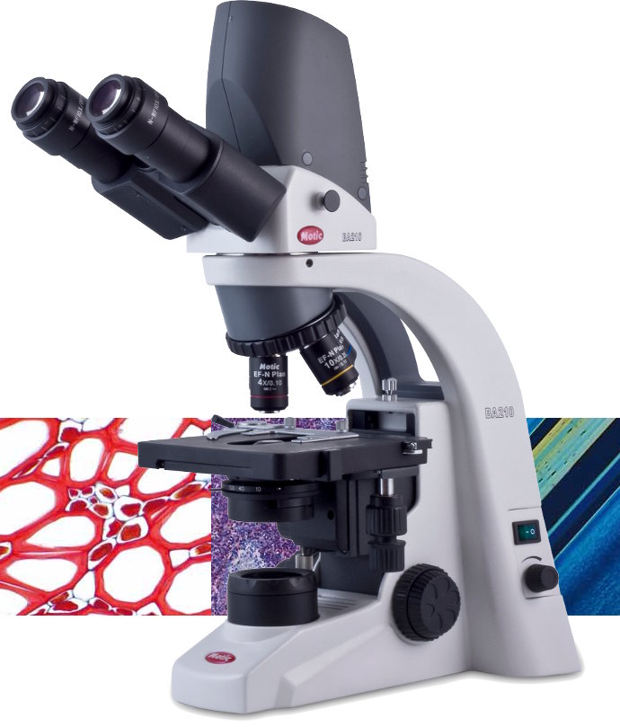 Microscopio  ergonómico Binocular c/Optica Plana y  Cámara Digital Incorporada BA210 Digital