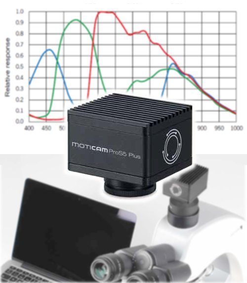 Conjunto p/Videomicroscopía Digital de Alta Resolución 5MP, con sensor de gran tamaño CMOS Scientific Grade MotiCAM PROS5 +