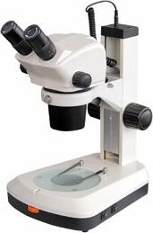 Lupa Estereosc�pica Binocular para Transferencia de Embriones c/iluminaci�n LED XTD 217 LED