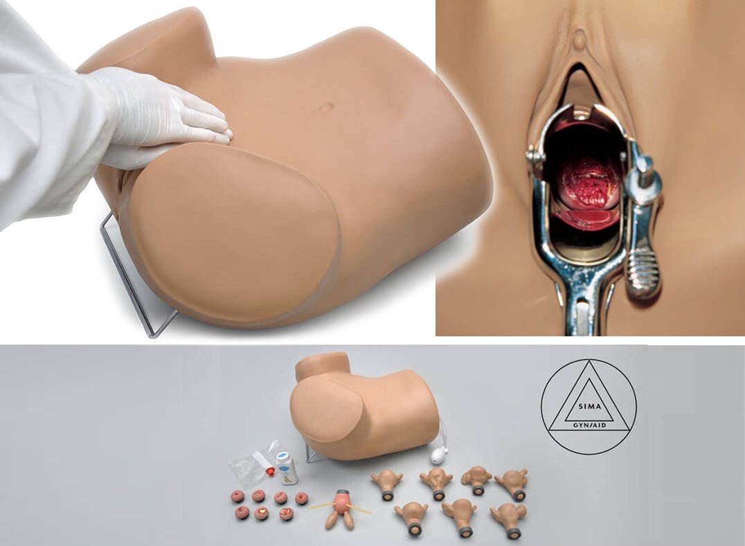 Simulador para exámenes ginecológicos y prácticas simples, c/útero y cuellos intercambiables: normales y con patologÃas S503