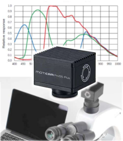 Conjunto p/VideomicroscopÃa Digital de Alta Resolución 5MP, con sensor de gran tamaño CMOS Scientific Grade MotiCAM PROS5 +