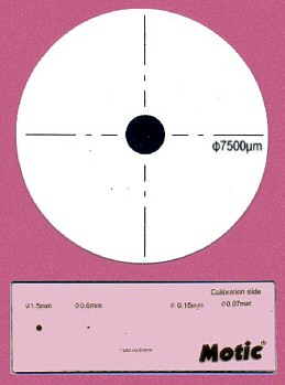 Referencias Dimensionales para Calibrar Sistemas de VideomicroscopÃa Referencias Dimensionales